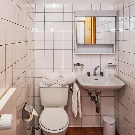 Chesa La Drosa Ab By Interhome Apartment